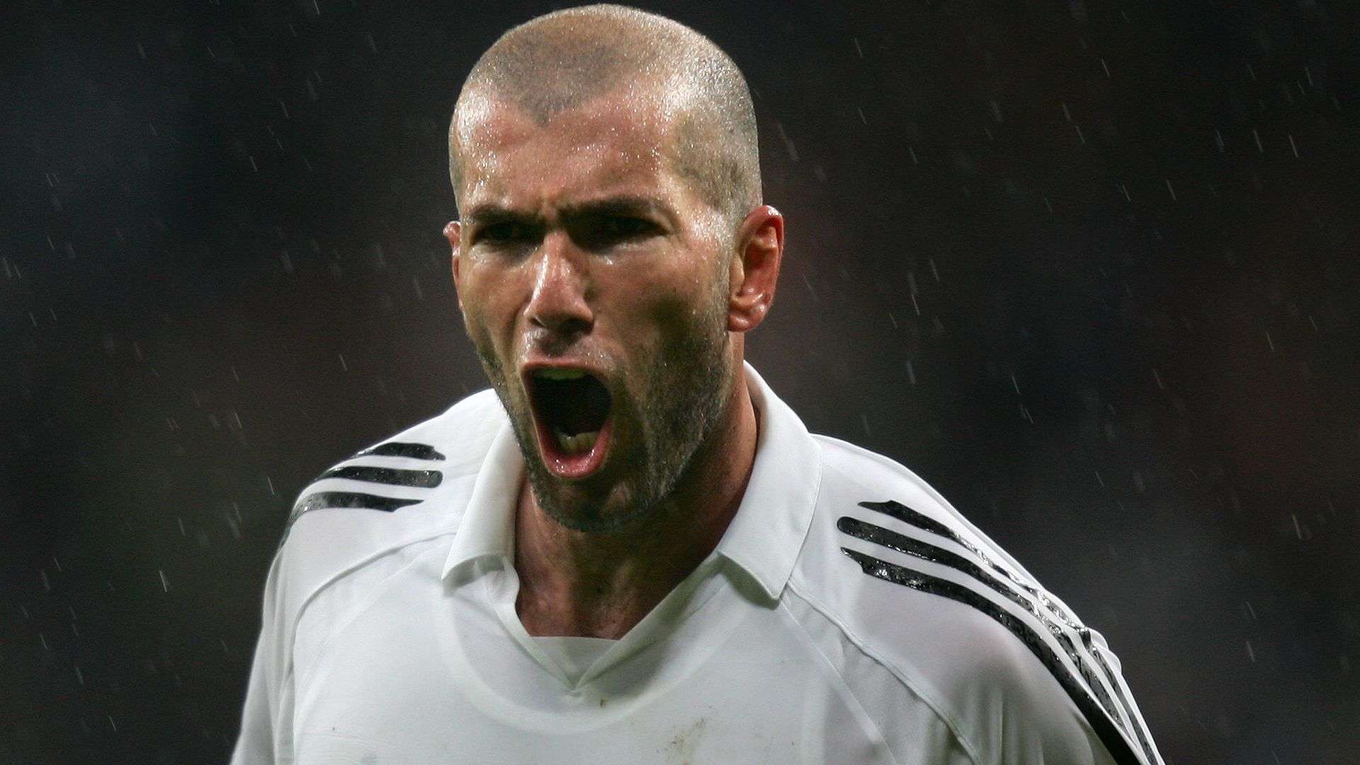 经济的双丰 经济的双丰