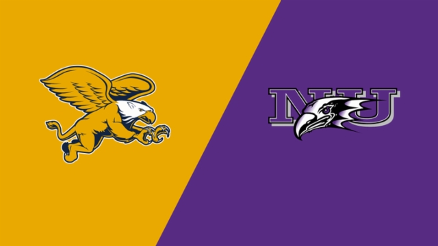 的南美足球 的南美足球